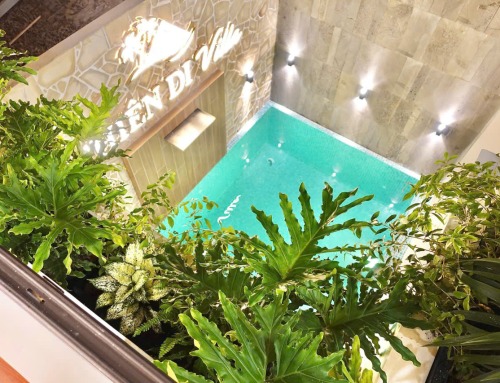 THIÊN DI VILLA MINI